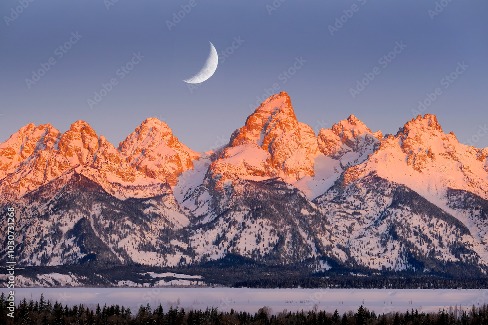Professional Resources: Image of the Grand Teton cathedral in the winter.