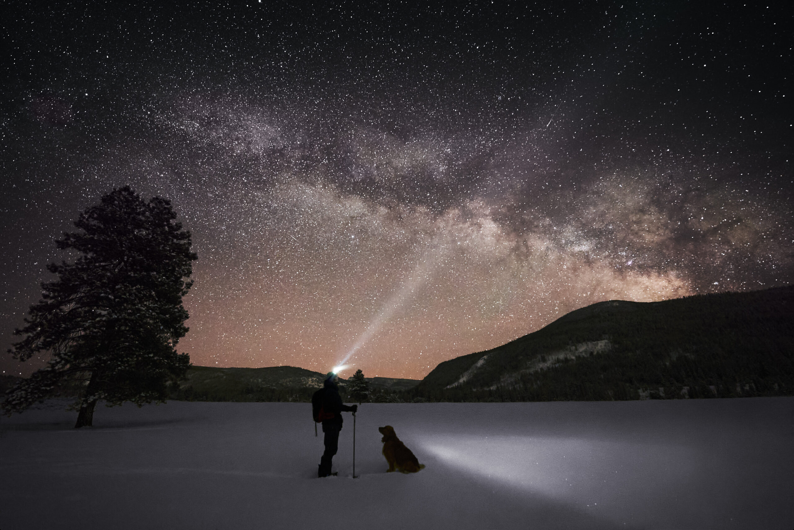 Contact: Image of man looking up at the night sky with his dog.